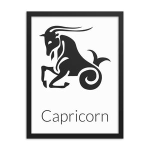 Capricorn Zodiac V1
