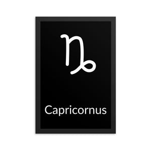 Capricorn Zodiac V3