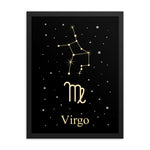 Virgo Zodiac V2