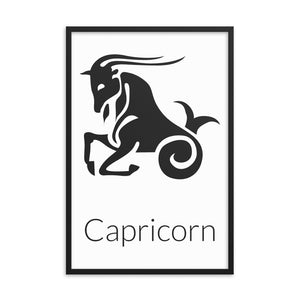 Capricorn Zodiac V1
