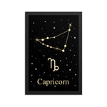 Capricorn Zodiac V2