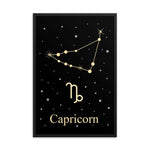 Capricorn Zodiac V2