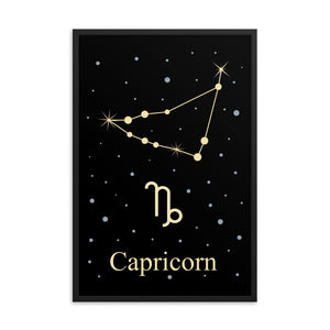 Capricorn Zodiac V2