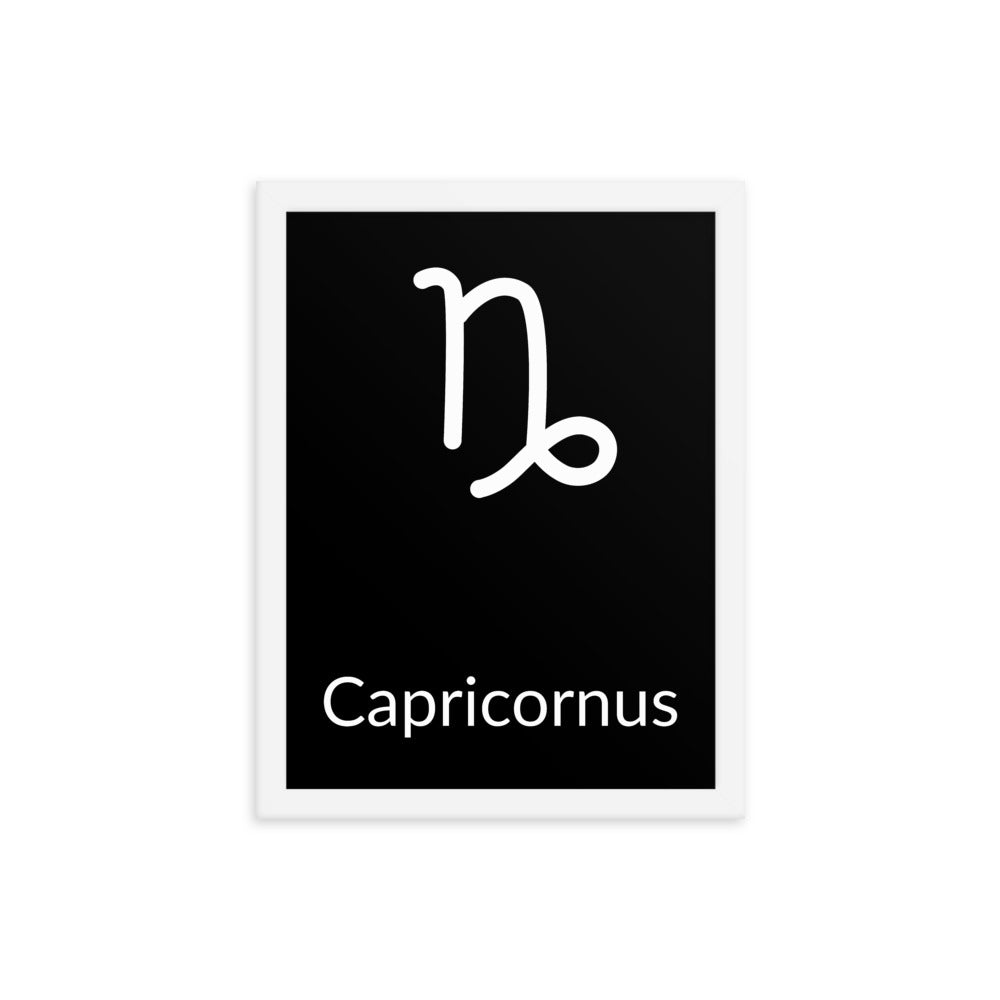 Capricorn Zodiac V3