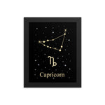 Capricorn Zodiac V2