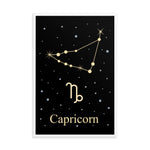Capricorn Zodiac V2