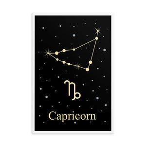 Capricorn Zodiac V2