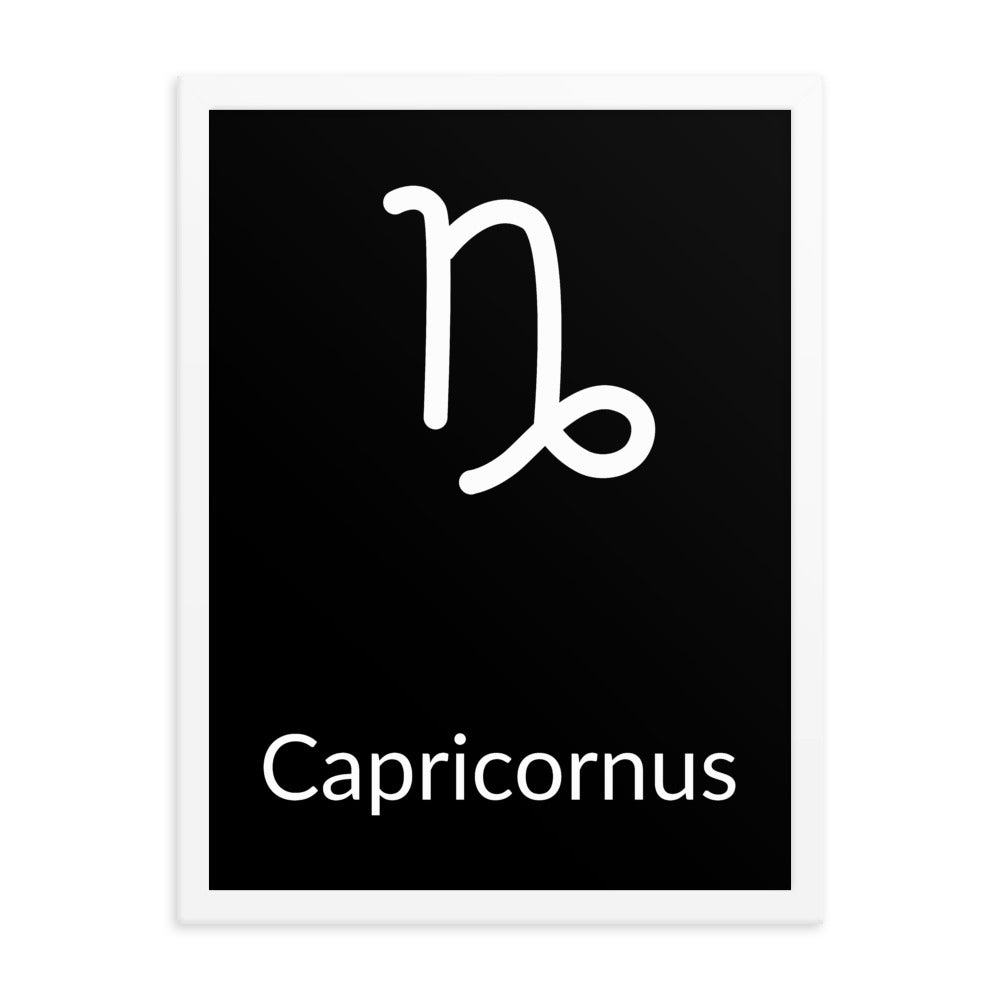 Capricorn Zodiac V3