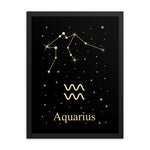 Aquarius Zodiac V2