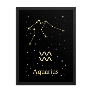 Aquarius Zodiac V2