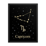 Capricorn Zodiac V2