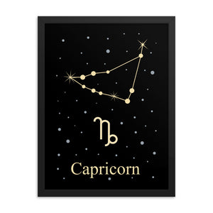 Capricorn Zodiac V2