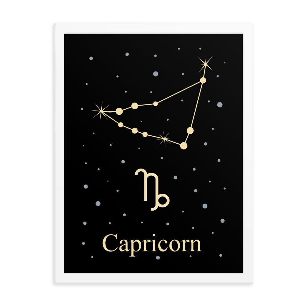Capricorn Zodiac V2