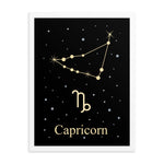 Capricorn Zodiac V2