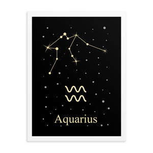 Aquarius Zodiac V2