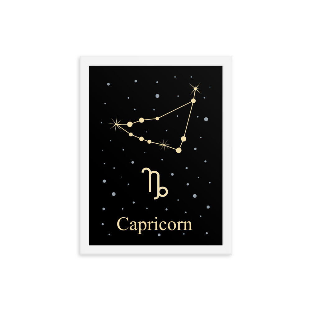 Capricorn Zodiac V2