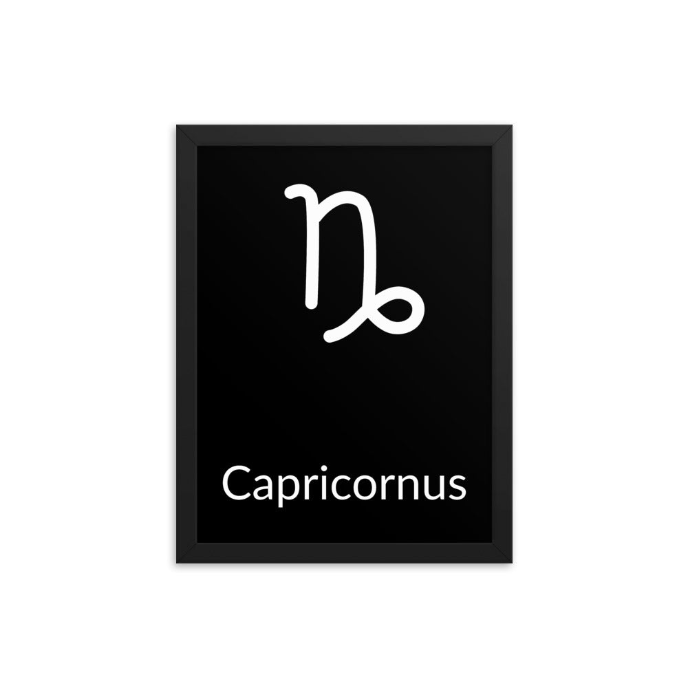 Capricorn Zodiac V3