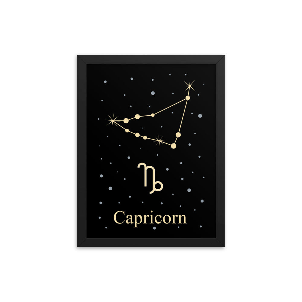 Capricorn Zodiac V2