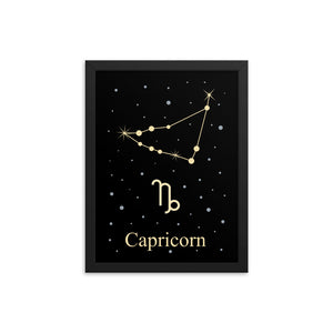 Capricorn Zodiac V2