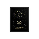 Aquarius Zodiac V2