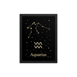 Aquarius Zodiac V2