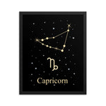 Capricorn Zodiac V2