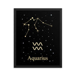 Aquarius Zodiac V2