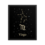 Virgo Zodiac V2