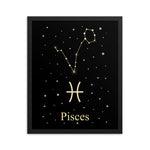 Pisces Zodiac V2