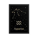 Aquarius Zodiac V2