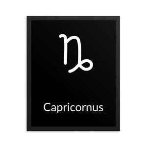 Capricorn Zodiac V3